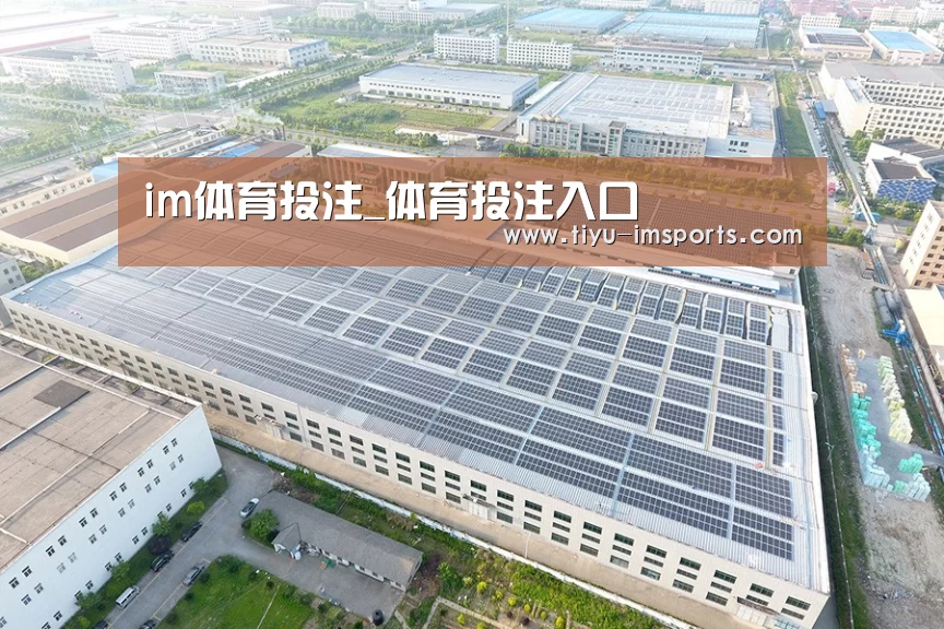 案例展示一