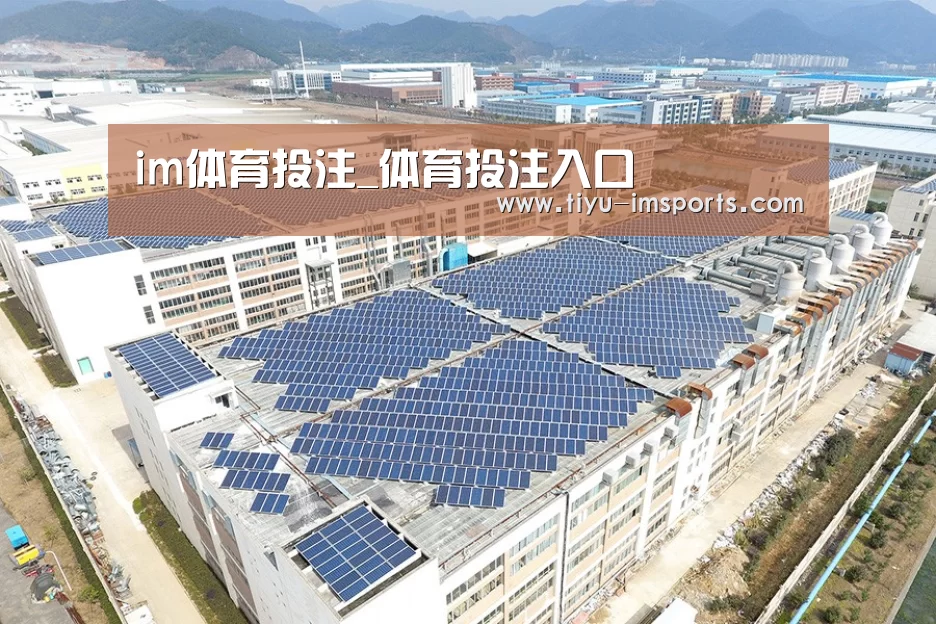案例展示一