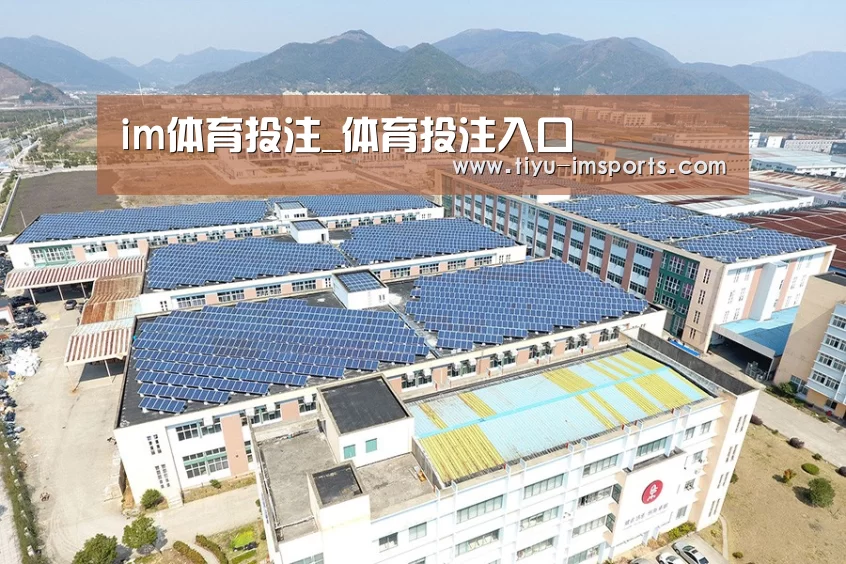 案例展示一