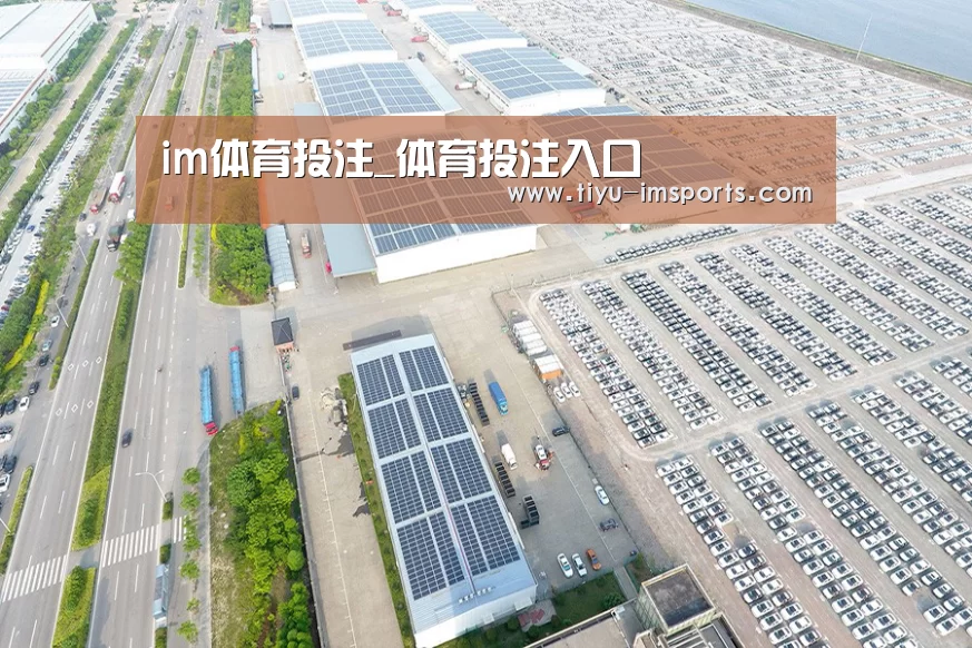 案例展示一