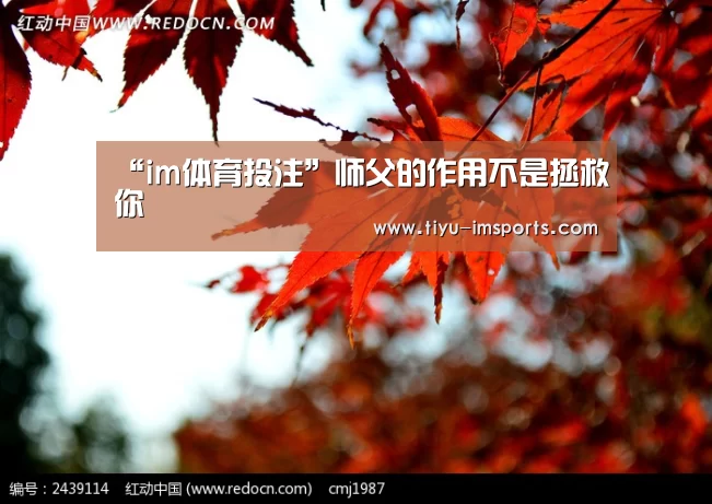 im体育投注