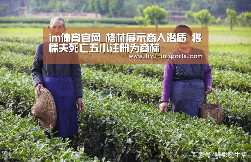 im体育官方网站