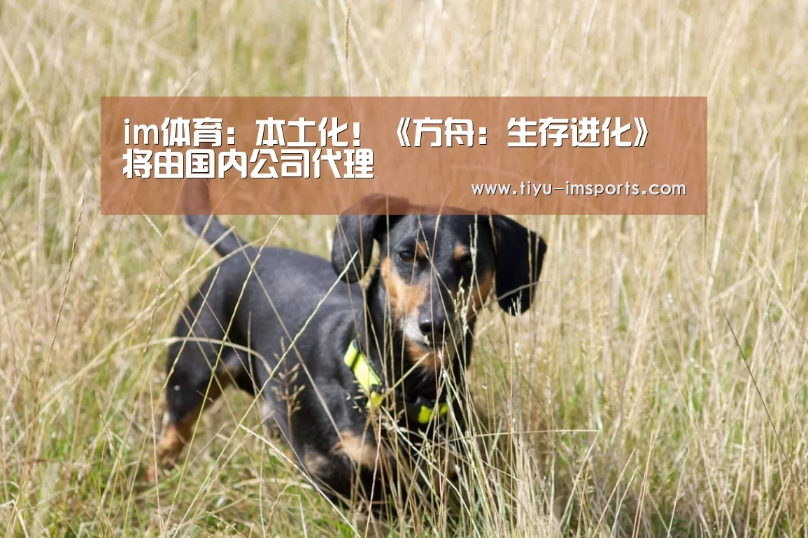 im体育:本土化!《方舟:生存进化》将由国内公司代理(图1) im体育投注