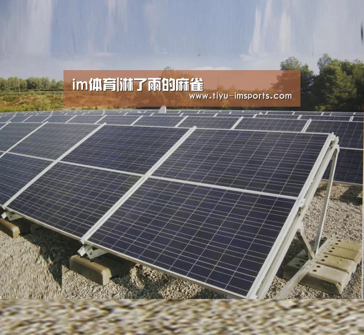 im体育|淋了雨的麻雀(图2) im体育官方网站