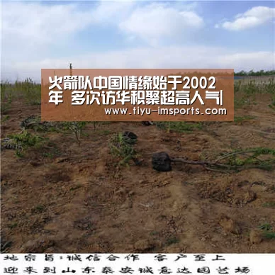 火箭队中国情缘始于2002年 多次访华积