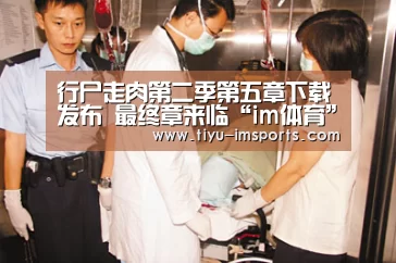 im体育投注